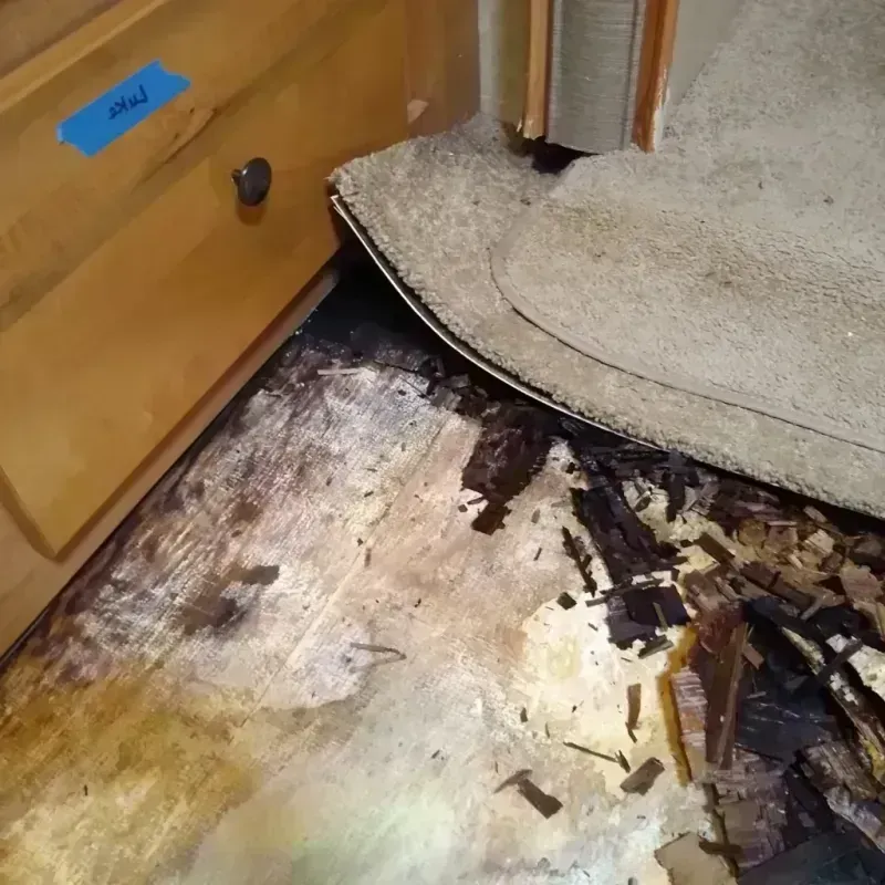 Wood Floor Water Damage in White Oak, MD